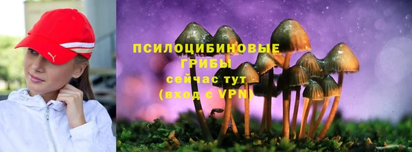 метамфетамин Богородицк