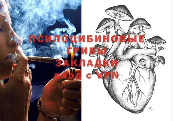 ECSTASY Богородск