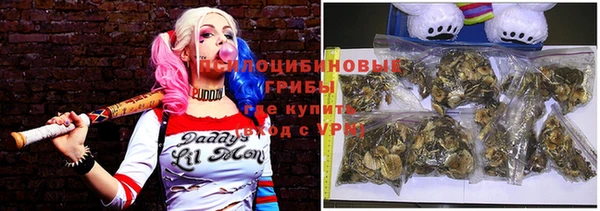 ECSTASY Богородск