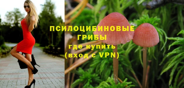 ALPHA PVP Богданович