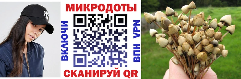 где продают наркотики  KRAKEN   Галлюциногенные грибы Psilocybine cubensis  Красный Кут 
